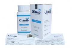 奥拉帕尼(olaparib）